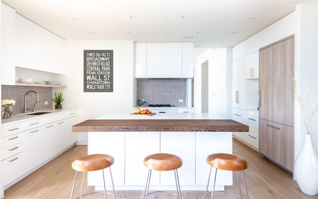 Minimalist Contemporary Kitchen in Reston, VA