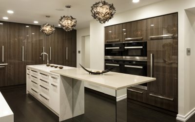 Contemporary Kitchen Design in Columbia, Maryland