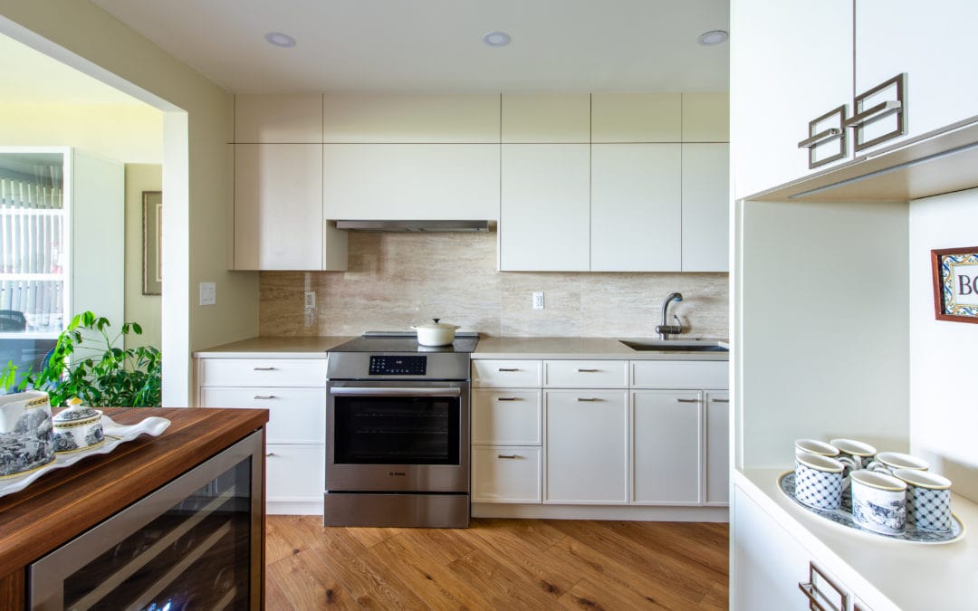 Contemporary Condo Kitchen Design